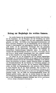 Cover of: Beiträge zur Morphologie des Gaumensegels und des Verdauungsapparates
