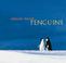 Cover of: Mitsuaki Iwago's penguins