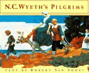 N.C. Wyeth's pilgrims by Robert D. San Souci
