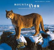 Cover of: Mountain Lion by Rebecca Grambo, Daniel J. Cox