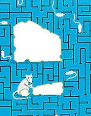 Cover of: 52 Great Escapes from the Rat Race (52 Decks)