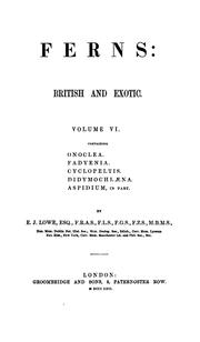 Cover of: Ferns: British and Exotic by Edward Joseph Lowe