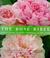 Cover of: The rose bible