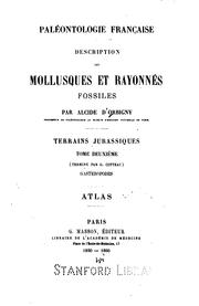 Cover of: Paléontologie française: description des mollusques et rayonnés fossiles by Gustave Honoré Cotteau, Alcide Dessalines d' Orbigny