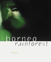 Cover of: Borneo rain forest