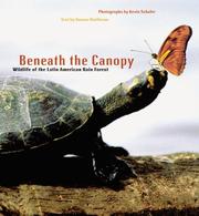 Cover of: Beneath the canopy: wildlife of the Latin American rain forest