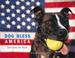 Cover of: Dog Bless America