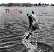 Cover of: The Dog by Ruth Silverman