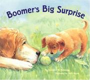 Cover of: Boomer's Big Surprise by Constance W. McGeorge