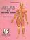 Cover of: Atlas de la Anatomia Humana