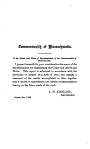 Cover of: Annual Report by Massachusetts , Massachusetts Superintendent for suppressing the gypsy and brown-tail moths