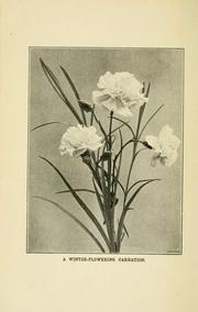 Cover of: Pictorial practical carnation growing by Wright, Walter Page