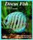 Cover of: Discus fish