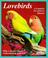 Cover of: Lovebirds