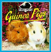 Guinea pigs by Kate Petty