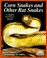 Cover of: Corn snakes and other rat snakes