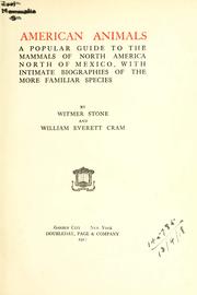 Cover of: American animals by Stone, Witmer