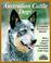 Cover of: Australian cattle dogs