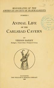 Cover of: Animal life of the Carlsbad cavern