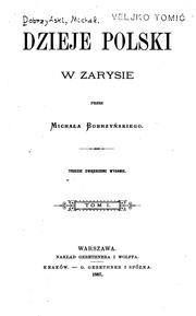Cover of: Dzieje Polski w zarysie