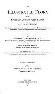 An Illustrated Flora of the Northern United States, Canada and the British Possessions, Vol. I by Nathaniel Lord Britton, Addison Brown
