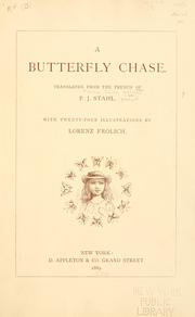 A butterfly chase