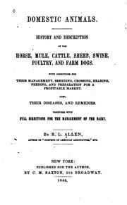 Cover of: Domestic Animals: History and Description of the Horse, Mule, Cattle, Sheep ... by Richard Lamb Allen