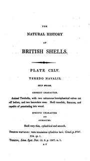 Cover of: The Natural History of British Shells,: Including Figures and Descriptions of All the Species ... by Edward Donovan