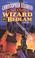 Cover of: A Wizard In Bedlam