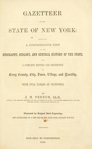 Cover of: Gazetteer of the State of New York: embracing a comprehensive view of the geography, geology, and general history of the State, and a complete history and description of every county, city, town, village and locality.  With full tables of statistics.