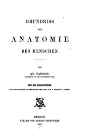 Grundriss der Anatomie des Menschen by Adolf Pansch