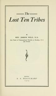 Cover of: The lost ten tribes