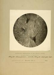 Microscopic preparations of the nervous system.