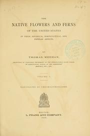 Cover of: native flowers and ferns of the United States in their botanical, horticultural and popular aspects