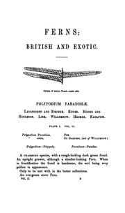 Cover of: Ferns: British and exotic by Edward Joseph Lowe, Edward Joseph Lowe
