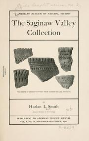 Cover of: Saginaw Valley collection