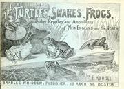 Cover of: The turtles, snakes, frogs and other reptiles and amphibians of New England and the north