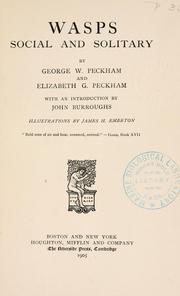Cover of: Wasps, social and solitary by George W. Peckham