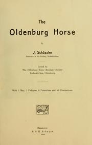 The Oldenburg horse by J. Schüssler