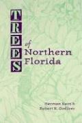 Cover of: Trees of Northern Florida by Herman Kurz