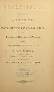 Forest leaves by W. W. Johnson