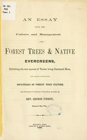 Cover of: An essay upon the culture and management of forest trees & native evergreens by George Pinney