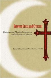 Cover of: Between Cross and Crescent by Lewis V. Baldwin, Amiri Yasin Al-Hadid