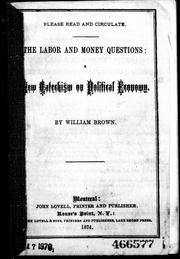 Cover of: The labor and money questions: a new catechism on political economy