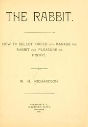 Cover of: The rabbit