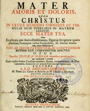 Mater amoris et doloris by Antonius Ginther