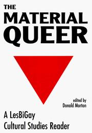 Cover of: The Material Queer: A Lesbigay Cultural Studies Reader (Queer Critique)