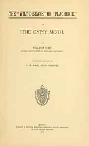 Cover of: The "wilt disease," of "flacherie," of the gypsy moth. by William Reiff
