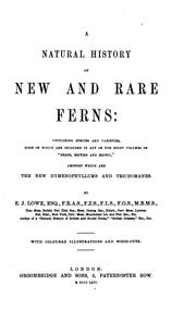 Cover of: A natural history of new and rare ferns