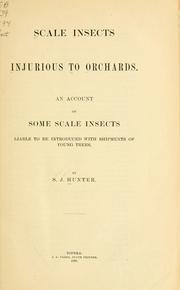 Cover of: Scale insects injurious to orchards by Hunter, Samuel John